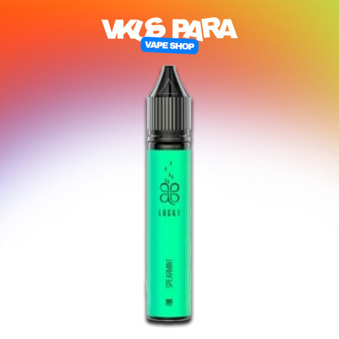 Жижа Lucky Salt 30 мл - Spearmint Со вкусом Мяты (Набор)