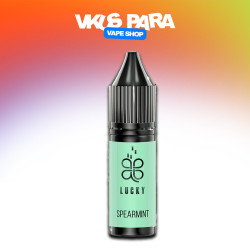 Lucky Salt 15 мл - Spearmint Зі смаком Мяти